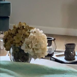 Meet your Posher, Mayra